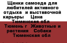 Щенки самоеда для любителей активного отдыха, и выставочной карьеры. › Цена ­ 30 000 - Тюменская обл., Тюмень г. Животные и растения » Собаки   . Тюменская обл.